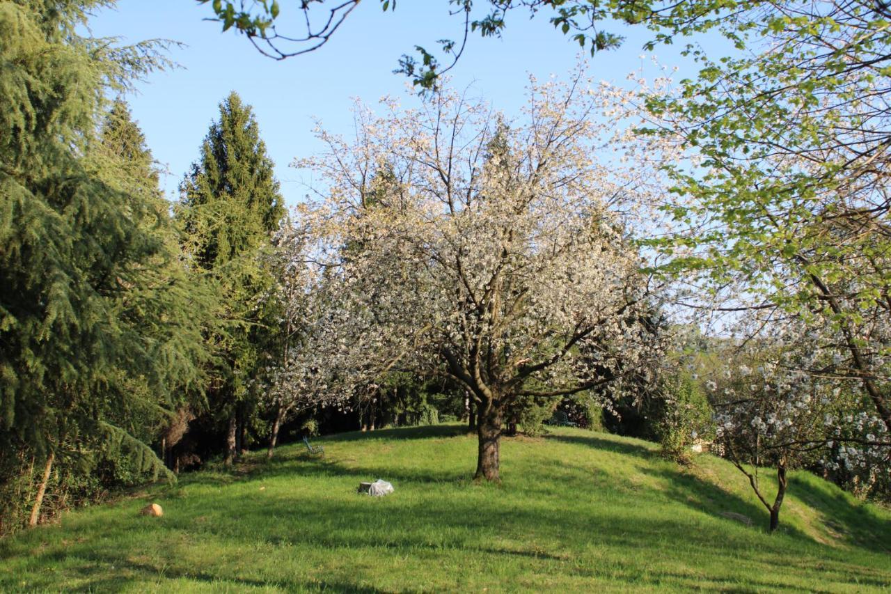 Villa Flangini Asolo Exterior foto